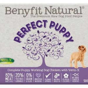 Benyfit puppy sales