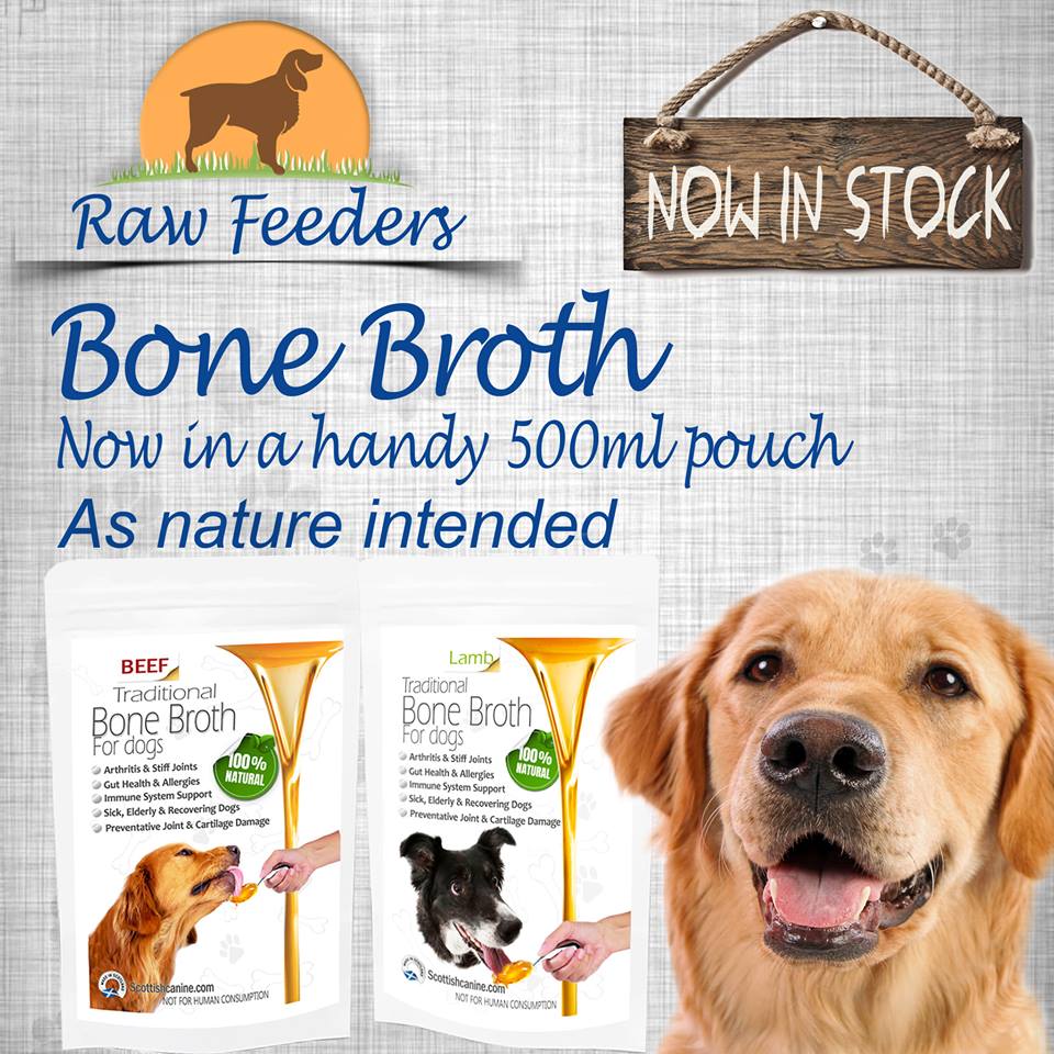 canine bone broth