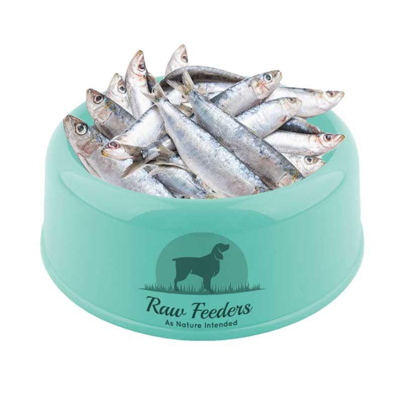 kiezebrink-sardines1kg-1511-p