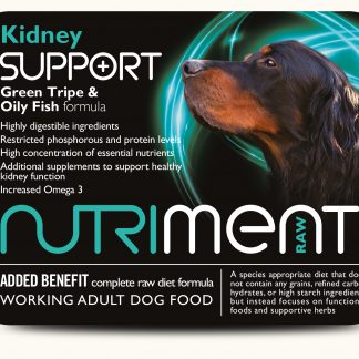 nut-kidney