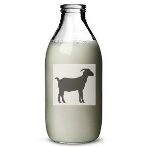 raw-goats-milk-1-pint-frozen-2405-p