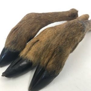 venison leg fur