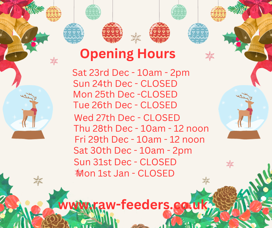 Christmas Opening Hours 2023